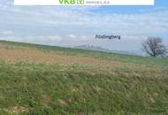 Attraktives Grundstück mit charmantem Altbestand in Leonding/Berg