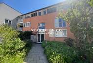 HELLES 4-ZIMMER-APARTMENT MIT TERRASSE IN NUSSDORF