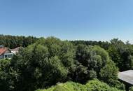 eines der letzten Baugrundstücke in Roithen
