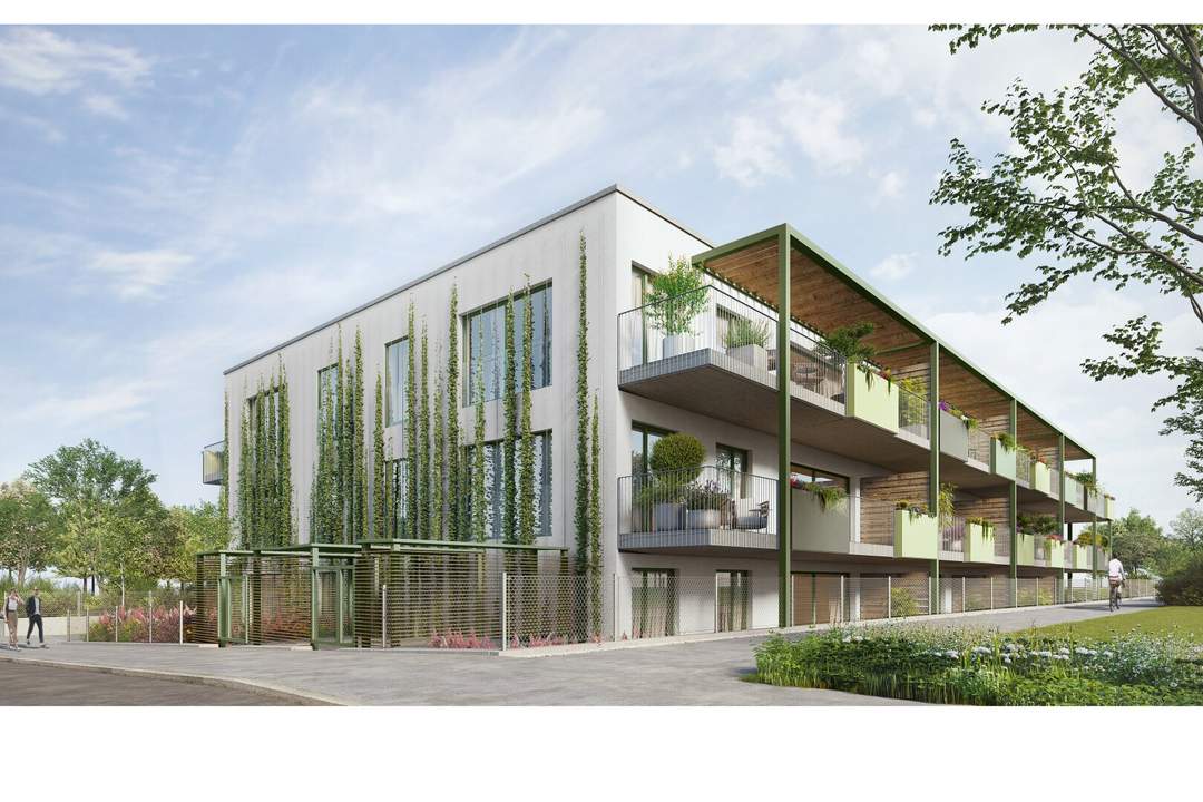 Midori Living - Kunst des Wohnens