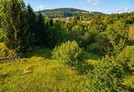 Traumhaftes Baugrundstück in Reauz – 2121m² für Ihr Eigenheim!