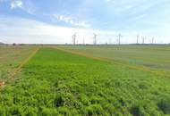 Ortsrandlage 2 Grundstücke mit ~ 2 ha 6,625 € / m² FP