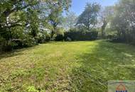 Hof in Ruhelage 2.460 m² Grund, ideal für Pferde- und Tierliebhaber