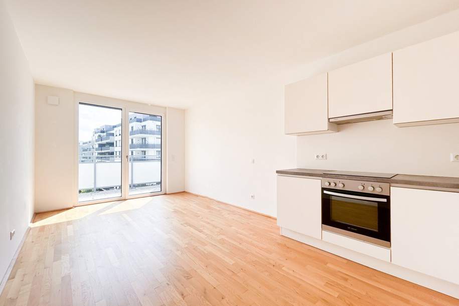 Gemütliche Wohnung mit Balkon - Kirschblütenpark - Nähe U1, Wohnung-miete, 899,00,€, 1220 Wien 22., Donaustadt