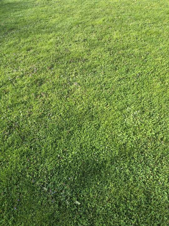 Bauträgergrundstück im Zentrum von Hollabrunn