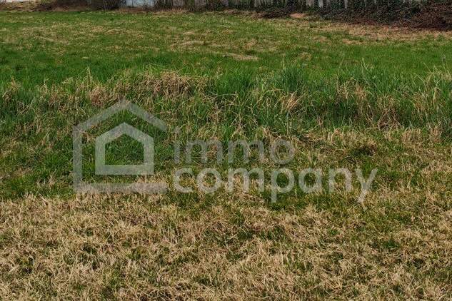 Ruhiger Baugrund (Bauland Misch) in Frauenkirchen / Burgenland, Grund und Boden-kauf, 7132 Neusiedl am See