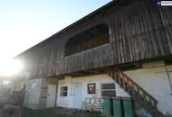 HISTORISCHER HOF IN DER GRÜNEN STEIERMARK: Ein Platz für große Pläne – von Landwirtschaft bis Pferdeparadies!