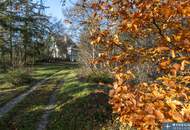 Einzigartige Jahrhundertwende-Villa mit Privatpark und Wald | Blick in alle Himmelsrichtungen | Lichtdurchflutet