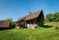 Liegenschaft mit Einfamilienhaus und Nebengebäuden nahe Bad Gams!