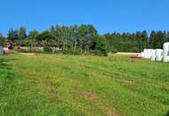 Charmantes Bauernhaus in Merzenstein/Rappottenstein – uneinsehbarer Vierkanthof bietet zahlreiche Möglichkeiten!