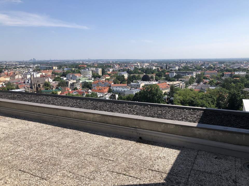 ÜBER DEN DÄCHERN VON MÖDLING!