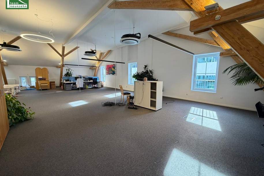 3 MONATE HAUPTMIETZINSFREI: Ihr neuer Standort in Graz: 331 m² | Top-Anbindung | Modern saniert, Gewerbeobjekt-miete, 4.580,00,€, 8010 Graz(Stadt)