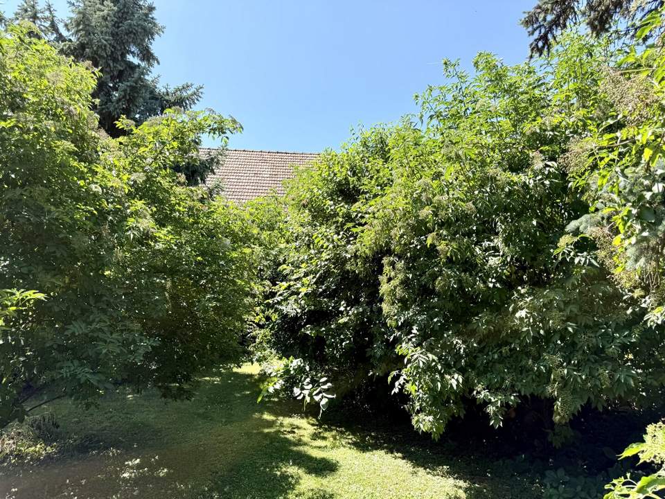 idyllischer verträumter Garten - kein vis-a-vis - einzigartiger Baugrund - 578 m² - Nähe Therme Oberlaa