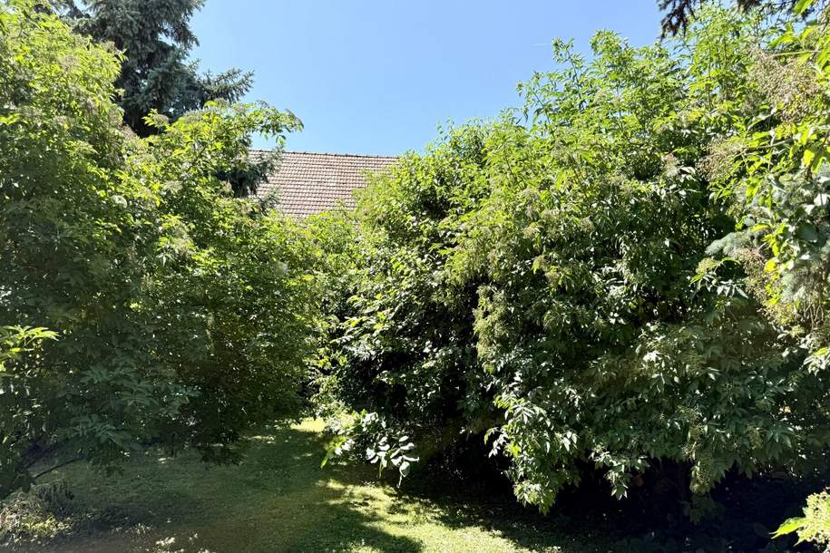 idyllischer verträumter Garten - kein vis-a-vis - einzigartiger Baugrund - 578 m² - Nähe Therme Oberlaa, Grund und Boden-kauf, 537.000,€, 1100 Wien 10., Favoriten