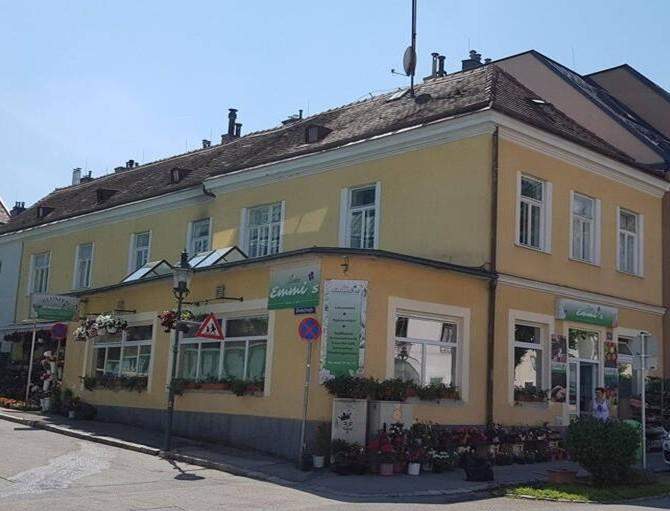 Renovierungsbedürftig! Wohnen und Arbeiten kombiniert in zentraler Lage in Brunn am Gebirge!