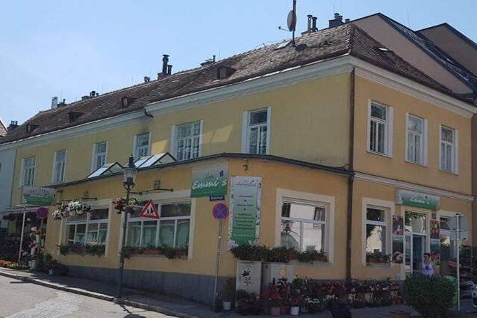 Renovierungsbedürftig! Wohnen und Arbeiten kombiniert in zentraler Lage in Brunn am Gebirge!, Haus-kauf, 498.000,€, 2345 Mödling
