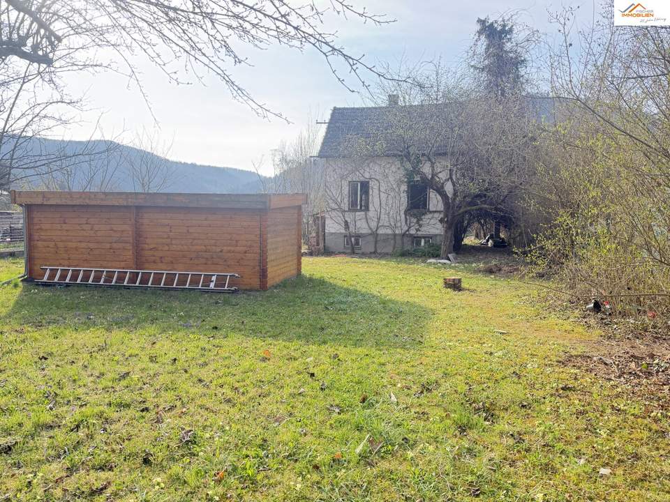 Grundstück in Pitten zu verkaufen