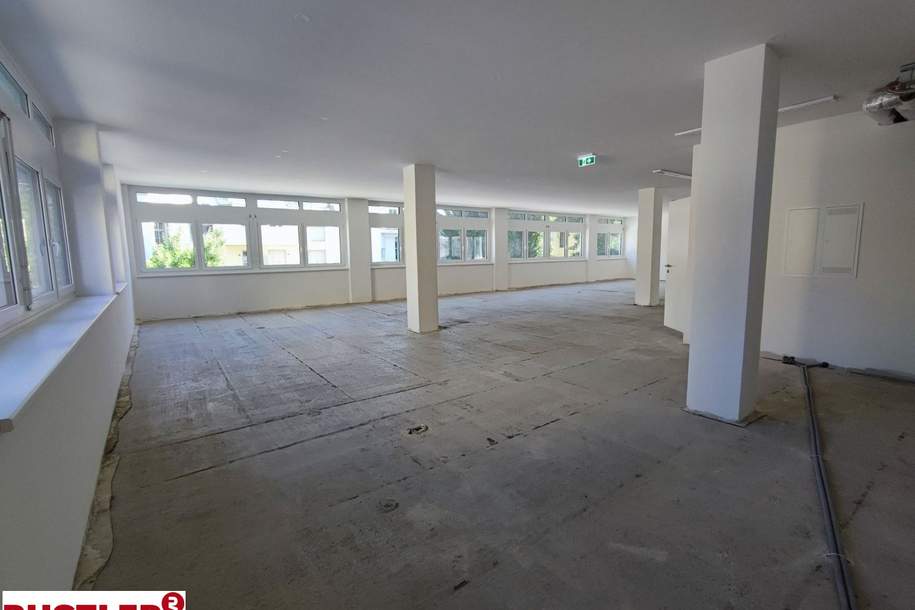 Ihr Büro in Hietzinger Bestlage, Gewerbeobjekt-miete, 6.956,06,€, 1130 Wien 13., Hietzing