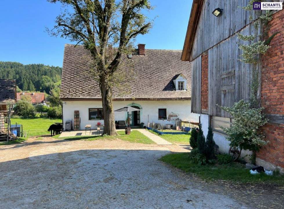 PFERDERANCH IN DER GRÜNEN STEIERMARK! Ihr Paradies auf dem Land: Charmanter Reiterhof in traumhafter Lage!
