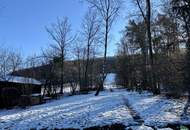 Elegante Villa in idyllischer Wienerwaldlage mit Pool und großem Garten