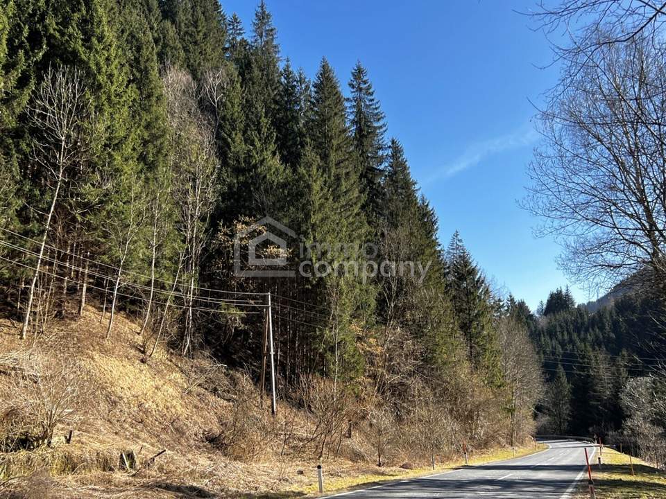 Waldgrundstück in der Marktgemeinde Hüttenberg