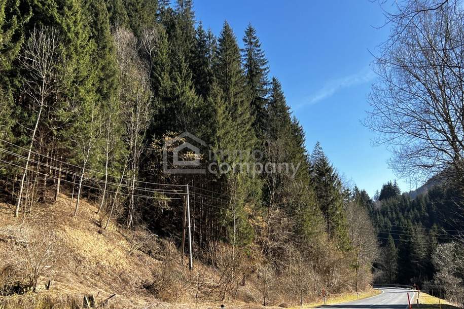 Waldgrundstück in der Marktgemeinde Hüttenberg, Gewerbeobjekt-kauf, 14.000,€, 9375 Sankt Veit an der Glan
