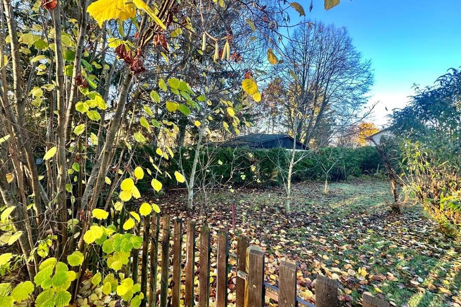 Mehr als nur Grund: ein Ort mit Zukunft!, Grund und Boden-kauf, 110.000,€, 2130 Mistelbach