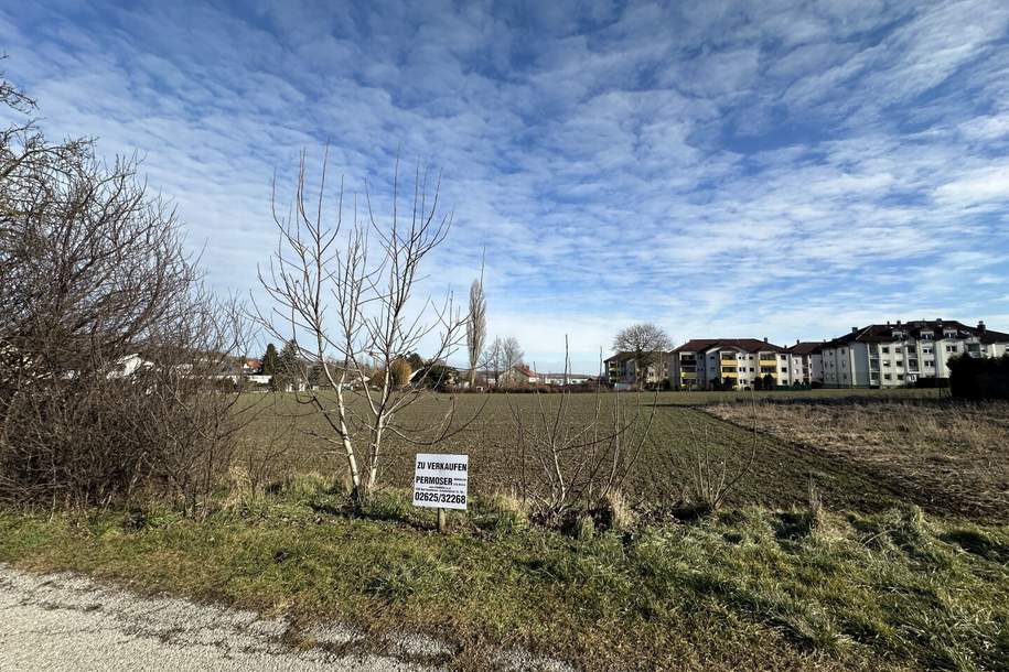 Baugrund in schöner Lage zu verkaufen, Grund und Boden-kauf, 199.000,€, 7202 Mattersburg