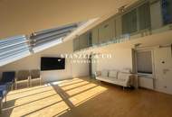 SONNIGES LOFT MIT HERRLICHER TERRASSE