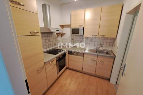 Schöne sanierte 2-Zimmer-Wohnung (Loft/Galeriewohnung), Wohnung-miete, 865,78,€, 4600 Wels(Stadt)