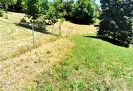 Ein Juwel in sonniger Aussichtslage – exklusives Baugrundstück in nobler Andritzer Villengegend