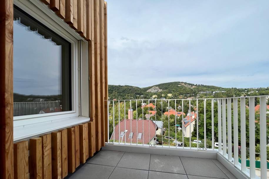 Diesen Ausblick sollten Sie sich nicht entgehen lassen!, Wohnung-kauf, 441.750,€, 2371 Mödling