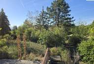 Exklusive Liegenschaft in begehrter Villenlage von Bad Fischau mit 1601m² Grundstück
