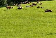 OFFENES BIETERVERFAHEN - Ertragsliegenschaft gemischt mit Gewerbe und Wohnungseigentum - RENDITE 8,8 %