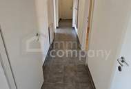 Blick auf den Husarentempel - Klimatisierte 3-Zimmer-Wohnung in Mödling zu vermieten!