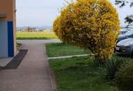 3 Zimmer + Küche + Lift + Loggia