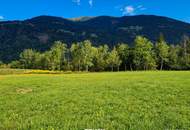Schöne Grünlandfläche in der Gemeinde Kleblach/Lind