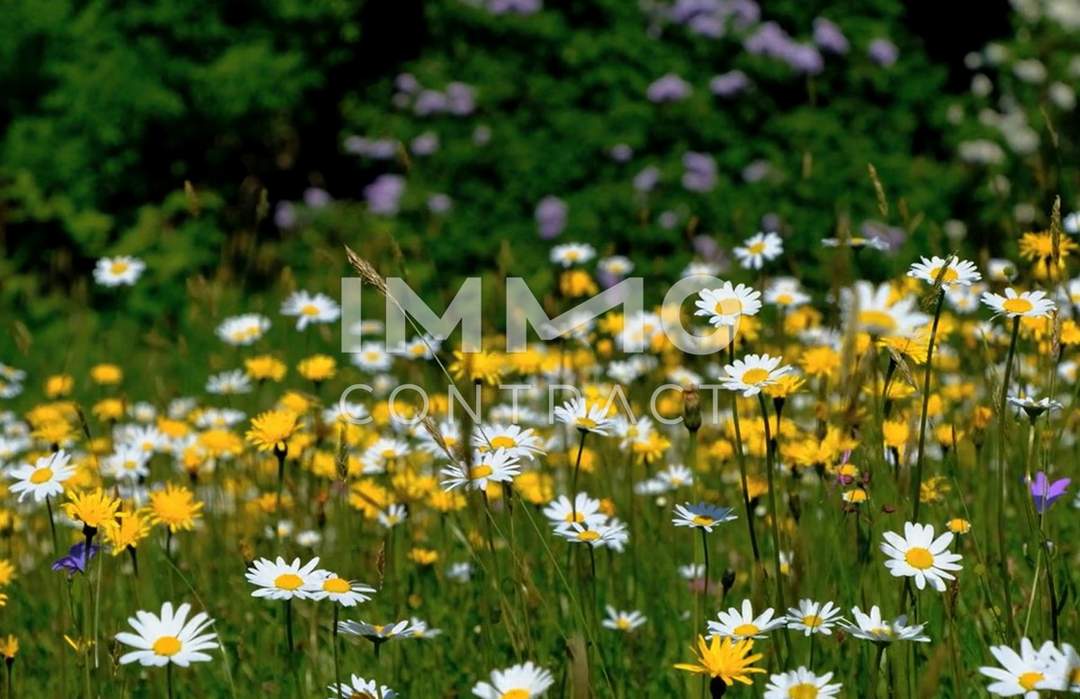 Wohnen im Grünen - 2-Zimmer Gartenwohnung für Anleger provisionsfrei!