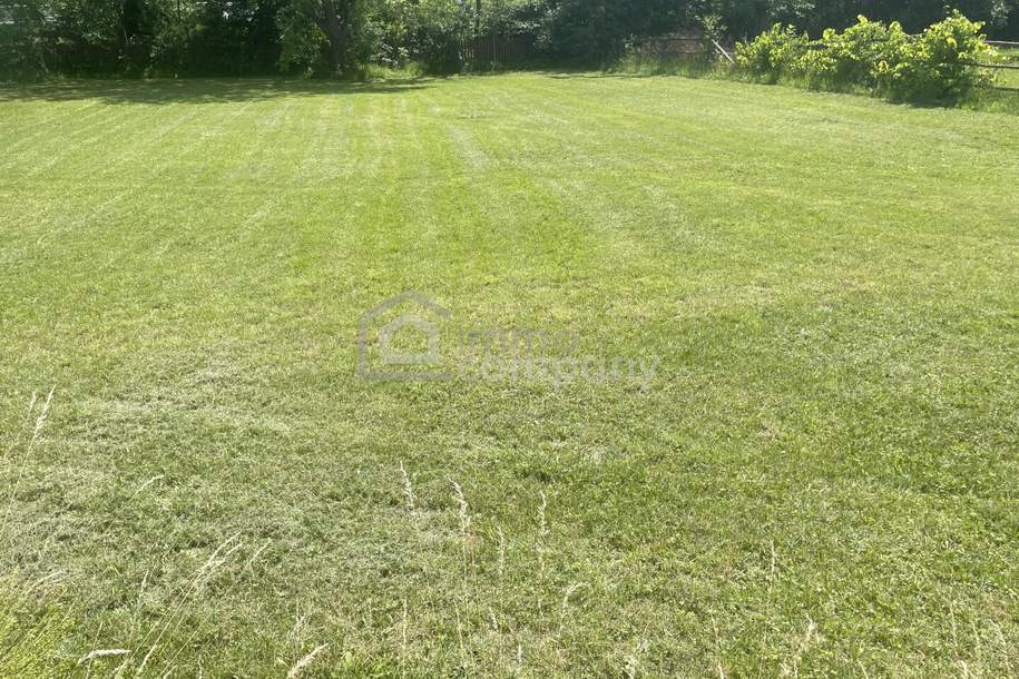 Genau richtig! Nicht zu groß und nicht zu klein. 692 m² Baugrundstück mit altem Nussbaum, Grund und Boden-kauf, 129.000,€, 2630 Neunkirchen
