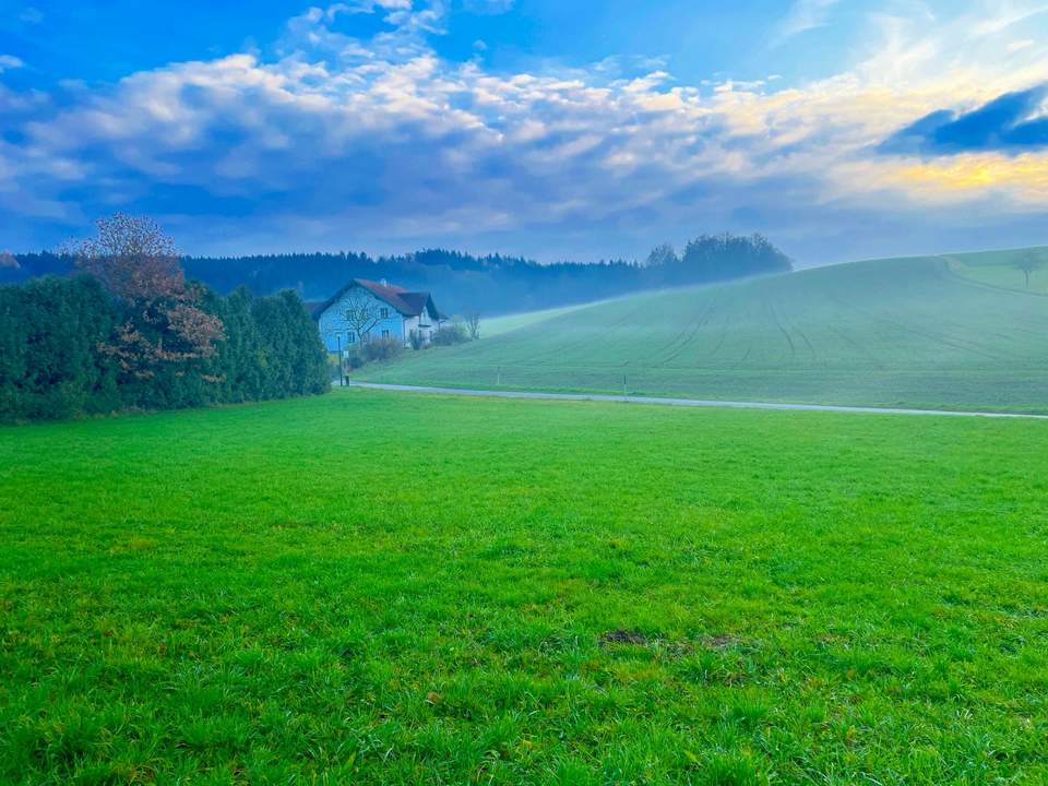 Sonniges Baugrundstück nahe Zentrum ohne Bauzwang