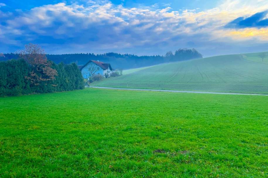 Sonniges Baugrundstück nahe Zentrum ohne Bauzwang, Grund und Boden-kauf, 126.000,€, 4770 Schärding