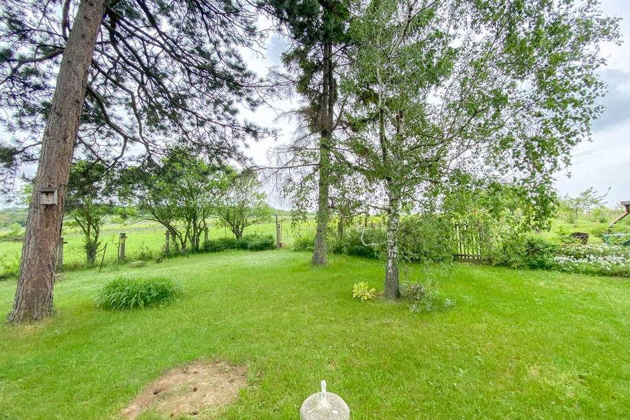 Romantisches Winzerhaus mit Wienblick und Weingarten, Haus-kauf, 498.000,€, 1210 Wien 21., Floridsdorf