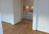 DACHGESCHOSS-ZUBAU MIT EINBAUKÜCHE+TERRASSE