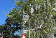 WÄHRINGER ALTBAUJUWEL MIT LIEBE ZUM DETAIL