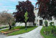 Stylisch renovierte Wohnung mit guter Infrastruktur