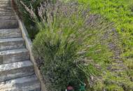 Aussicht: unglaublich - Lage: perfekt - Wohnfläche erweiterbar