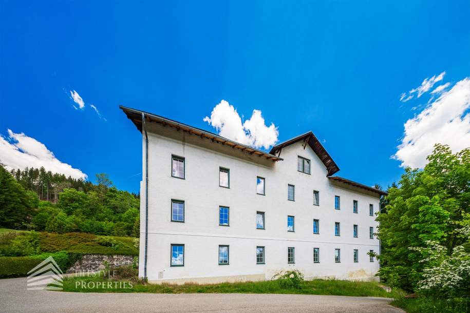 Sanierungsbedürftiges Wohnhaus mit 24 Wohneinheiten in Hanglage, Gewerbeobjekt-kauf, 360.000,€, 8664 Bruck-Mürzzuschlag