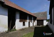 charmantes Bauernhaus in Frankenau, 5 Zimmer, Balkon, sehr ruhige Lage