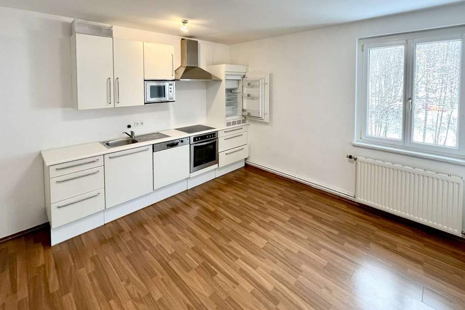 Schöne 53 m² Wohnung in Hainfeld – ab sofort verfügbar!, Wohnung-miete, 546,00,€, 3170 Lilienfeld