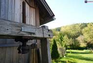 NEUER PREIS! AUSSERGEWÖHNLICHES JUWEL! Exklusiver Vierkanthof im Thermenland Steiermark – Wohnen, Reiten &amp; Leben mit Pool und Natur